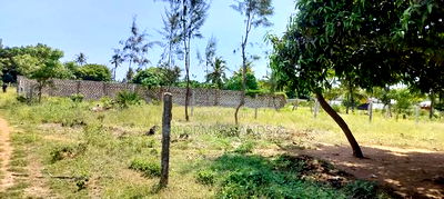 Kombani Kwale Ready Title 50X100 Plots at 1.3M - Image 6