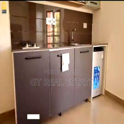 Furnished Studio Apartment in Balozi, South B for sale - Image 1