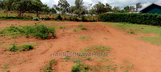 Ngong Kibiko Scenic Plots
