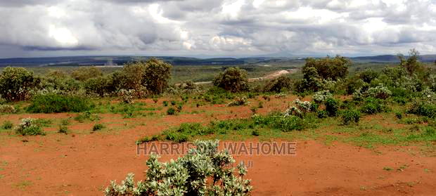 Ngong Kibiko Scenic Plots