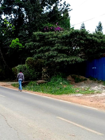 Prime 1/2 Acre Touching Mirema Road - Image 6