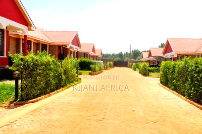 4bdrm Bungalow in Kenyatta Road / Theta for rent - Image 4