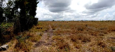 Vacant Plot for Sale at Malaa - Image 4