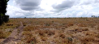 Vacant Plot for Sale at Malaa - Image 5