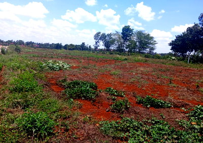 Half Acre in Runda at KSh 40M