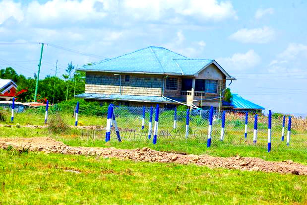 Katani Plots at 1.6M