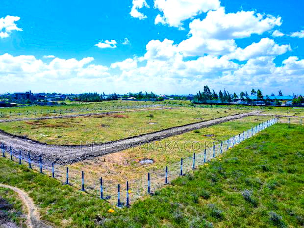 Katani Plots at 1.6M