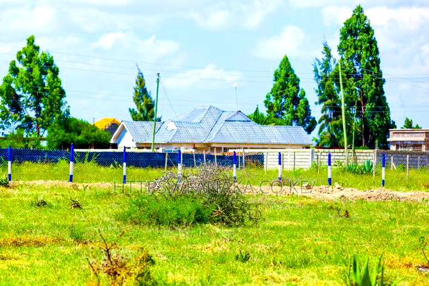 Katani Plots at 1.6M