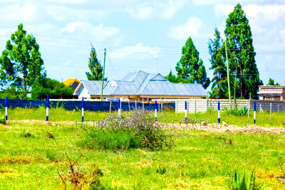 Katani Plots at 1.6M - Image 1