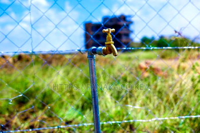 Katani Plots at 1.6M - Image 2