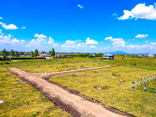 Katani Plots at 1.6M
