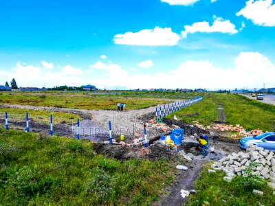 Katani Plots at 1.6M - Image 6