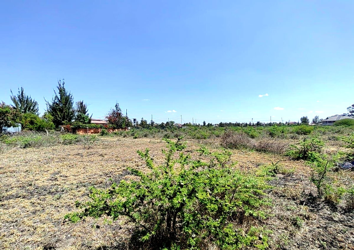 KSh 8M Syokimau Plot