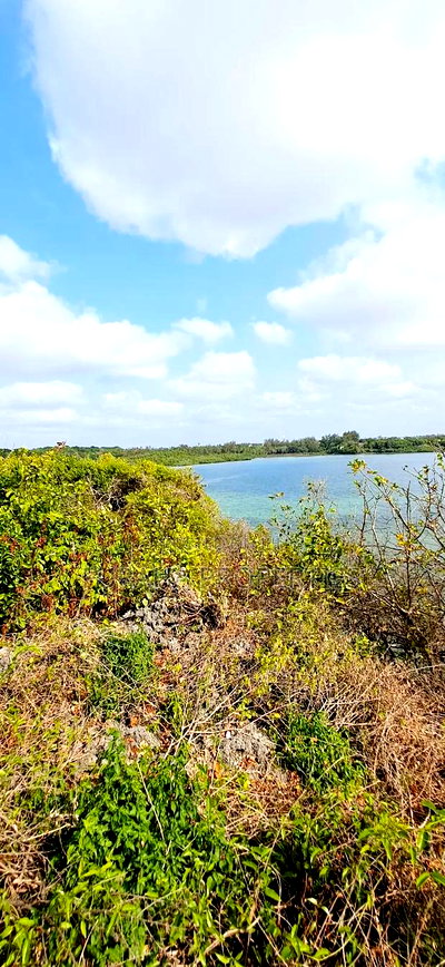 For Sale 1 Acre Beach Land Shanzu - Image 4