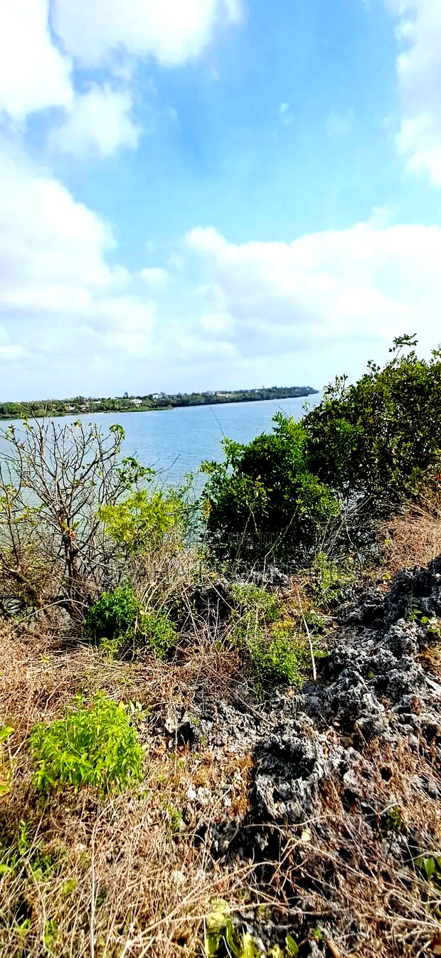 For Sale 1 Acre Beach Land Shanzu