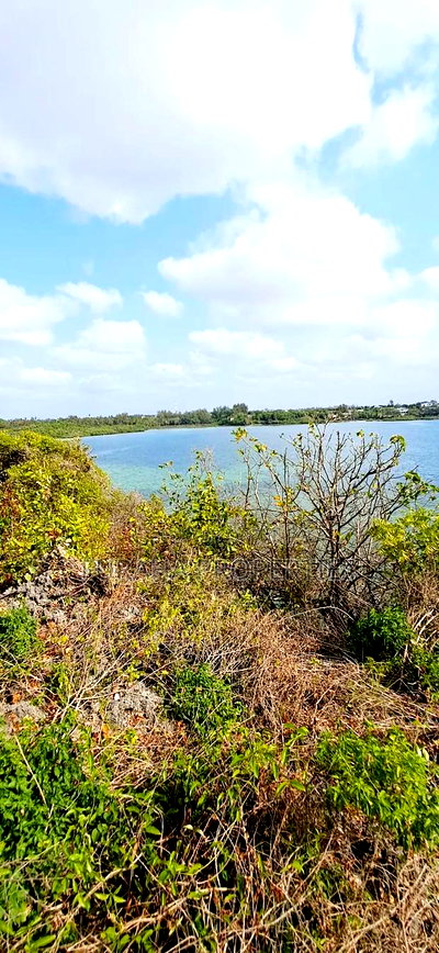 For Sale 1 Acre Beach Land Shanzu - Image 3