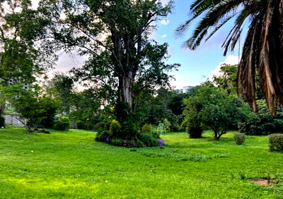 2.6-Acre Plot with Garden in Westlands