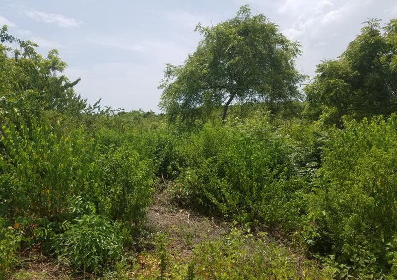 50x100 Plot Under 2M