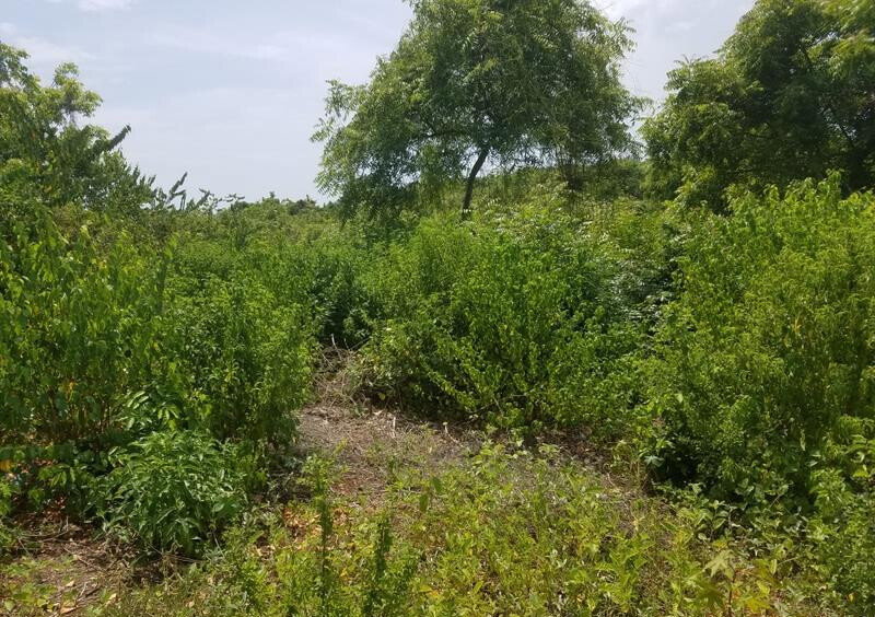 50x100 Plot Under 2M