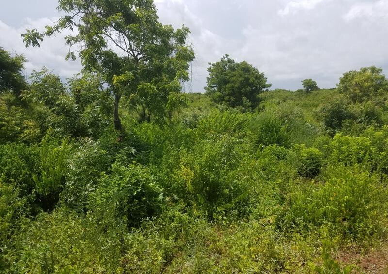 50x100 Plot Under 2M
