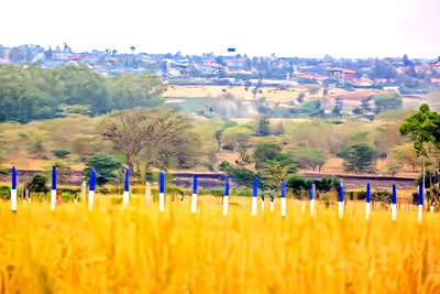Kamulu Residential Plots by Fanaka.