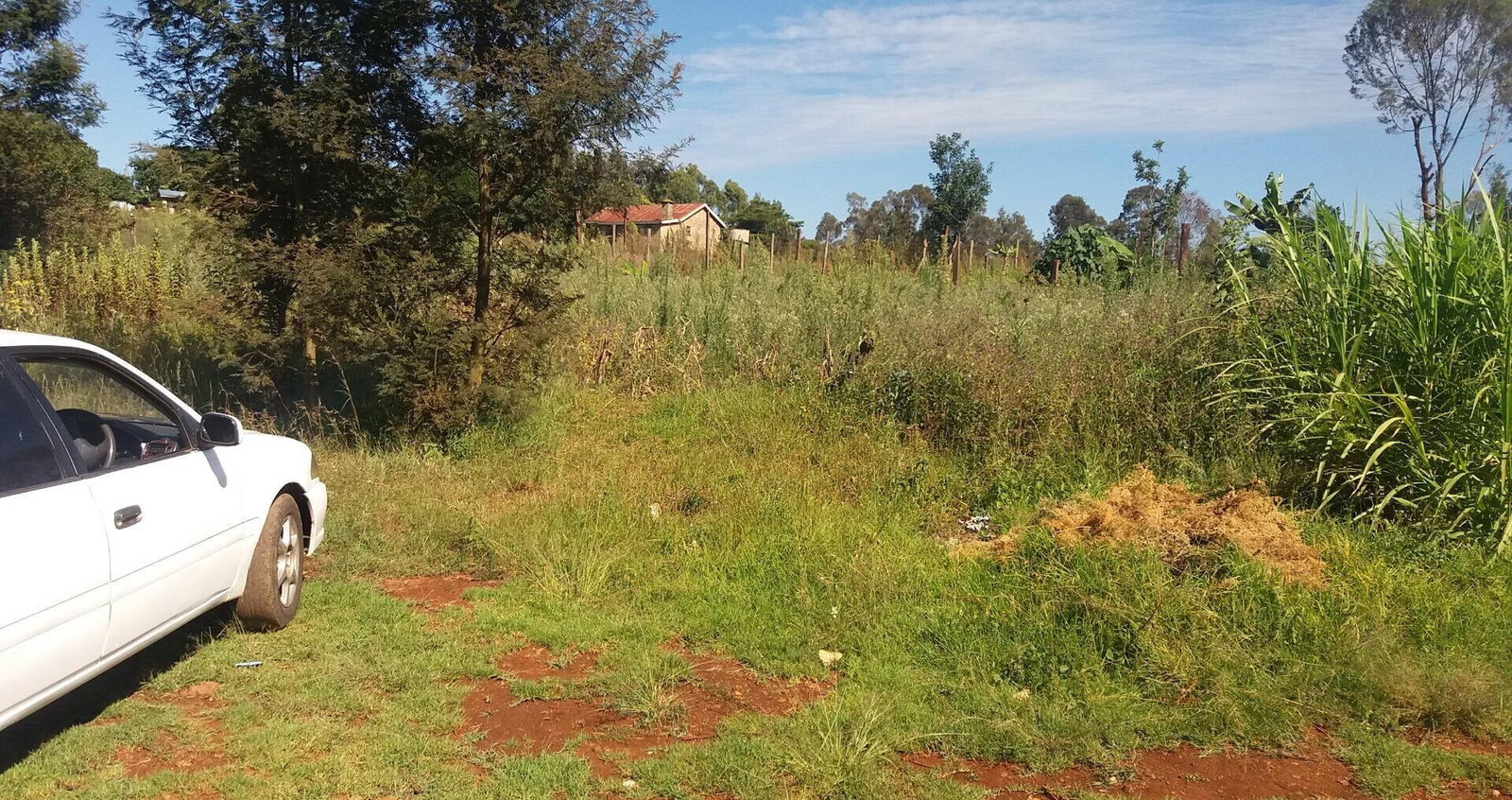 1/8 Acre Plot in Wangige for KSh 2.6M