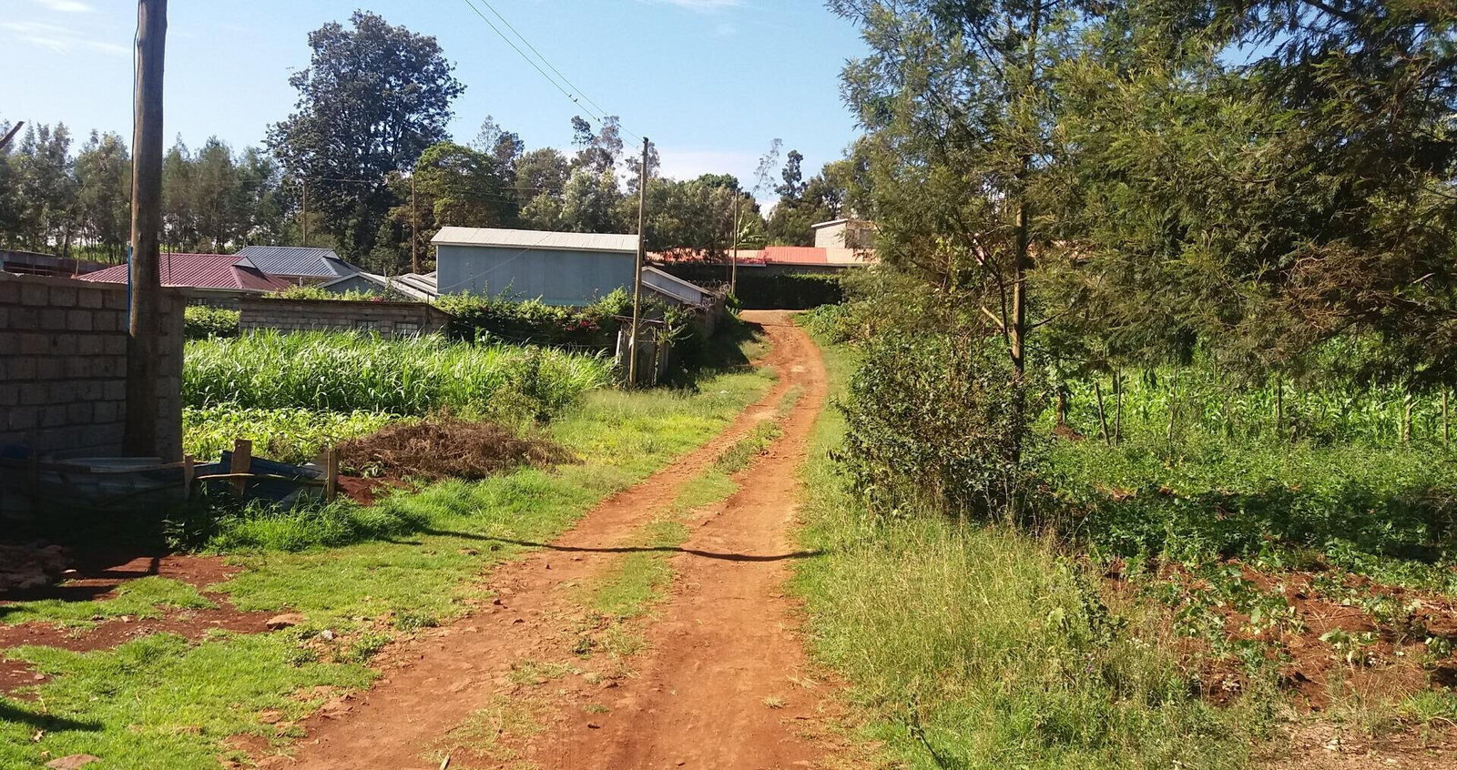 1/8 Acre Plot in Wangige for KSh 2.6M
