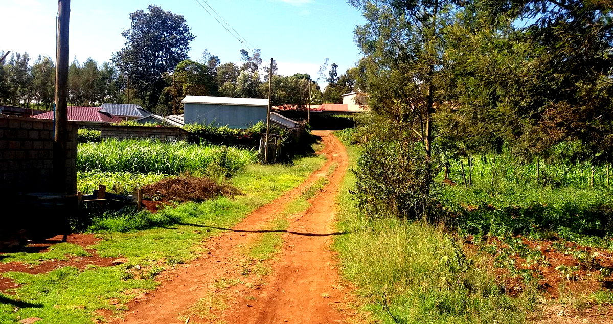 1/8 Acre Plot in Wangige for KSh 2.6M