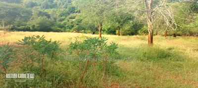 Muraru, Kauriro 3acres Acres - Image 3