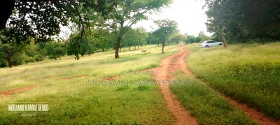 Muraru, Kauriro 3acres Acres - Image 1