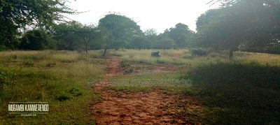 Muraru, Kauriro 3acres Acres - Image 5