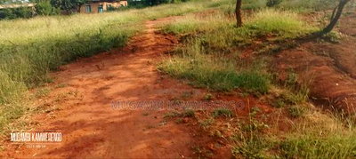 Muraru, Kauriro 3acres Acres - Image 4