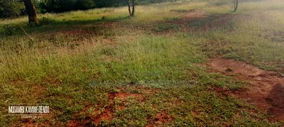 Muraru, Kauriro 3acres Acres - Image 2