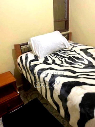 Furnished Mini Flat in Adams Arcade, Posta, Woodley Estate for rent - Image 3