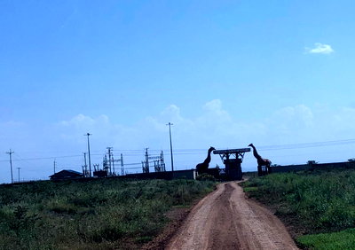 1 Acre Plot in Secure Gated Community