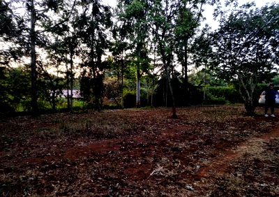 50x100 Plot in Kikuyu