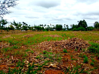 1/8acre Plots for Sale in Kiplombe Centre - Image 1
