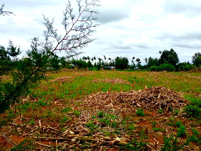 1/8acre Plots for Sale in Kiplombe Centre - Image 4