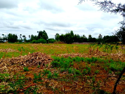 1/8acre Plots for Sale in Kiplombe Centre - Image 2