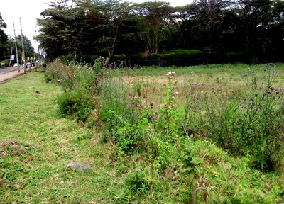 1 Acre Karen Plains Next to Tarmac - Image 2