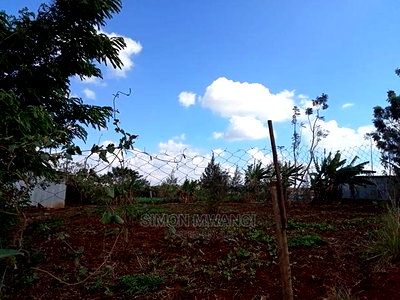 Selling a Plot in Ruiru Mugutha - Image 3