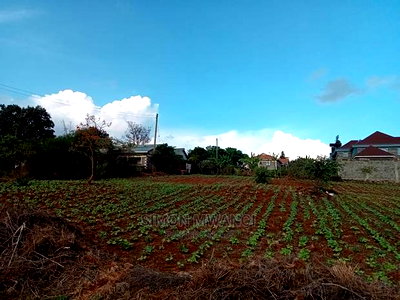 Selling a Plot in Ruiru Mugutha - Image 2
