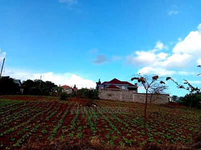 Selling a Plot in Ruiru Mugutha - Image 1