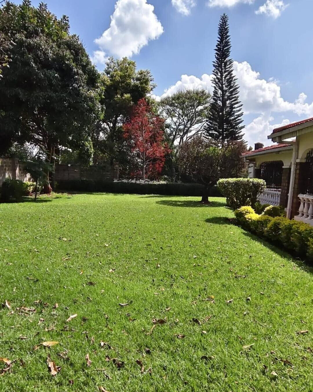 Half-Acre Standalone Mansion with Guest House – Rosslyn