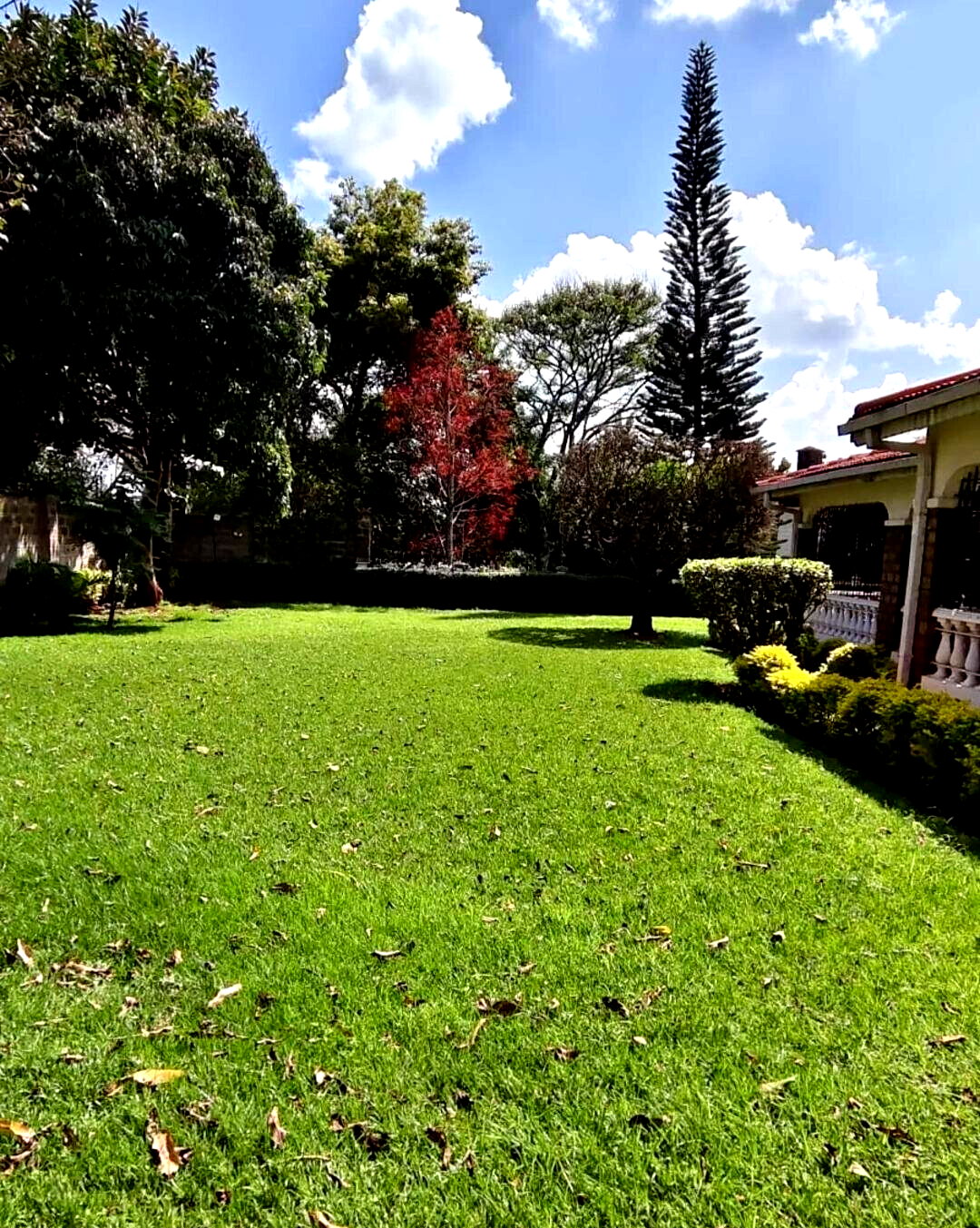 Half-Acre Standalone Mansion with Guest House – Rosslyn
