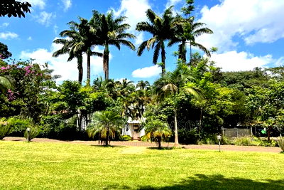 3bdrm Mansion in 3 Acres Muthaiga for sale - Image 3