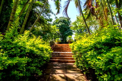 3bdrm Mansion in 3 Acres Muthaiga for sale - Image 9