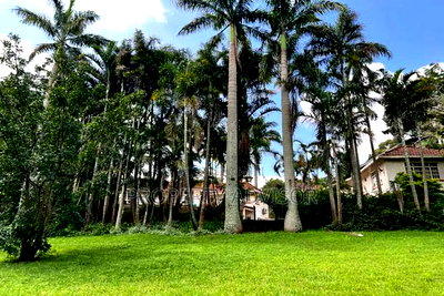 3bdrm Mansion in 3 Acres Muthaiga for sale - Image 2