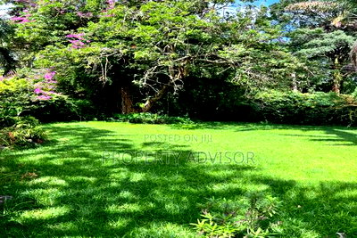 3bdrm Mansion in 3 Acres Muthaiga for sale - Image 4