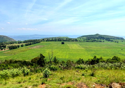 6-Acre Garden Estate for Sale